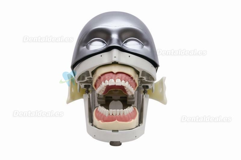 Jingle JG-C4 Dental Surgery Practice Model Head Attach on Dental Chair Type Simulation Phantom Head